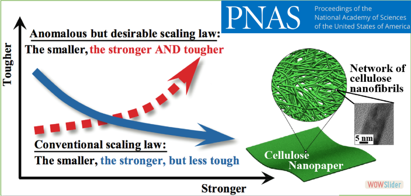 PNAS15